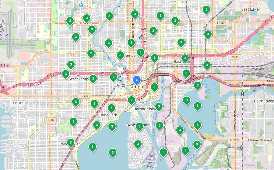 After Autopilot SEO geo-grid ranking map for a Rodent & Pest Control business in Tampa, FL